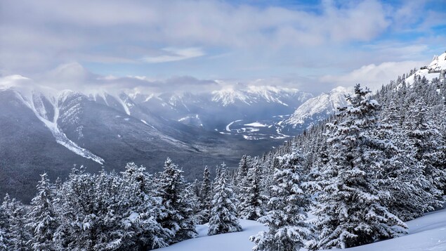 Vu en plongée du parc national de Banff en Alberta.