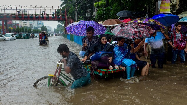 Des femmes et des hommes s'entassent sur un rickshaw Des femmes et des hommes s'entassent sur un rickshaw
