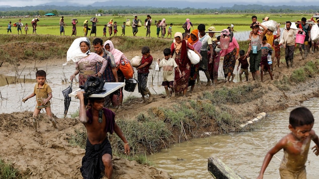 Un groupe de réfugiés Rohingyas fuient le Myanmar. Un groupe de réfugiés Rohingyas fuient le Myanmar.