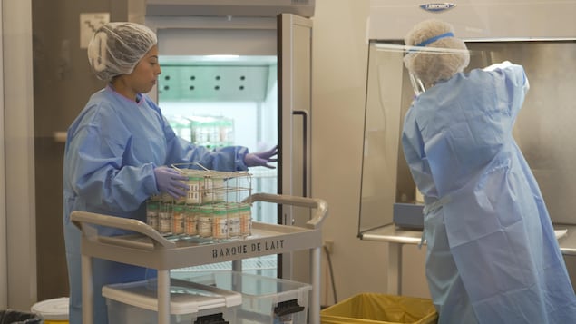 Des techniciennes en laboratoire placent le lait dans un réfrigérateur.