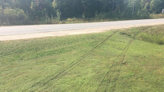 Des traces de roues de voiture sur le gazon dans le jardin de Barb Friske et de son mari John. Des traces de roues de voiture sur le gazon dans le jardin de Barb Friske et de son mari John.
