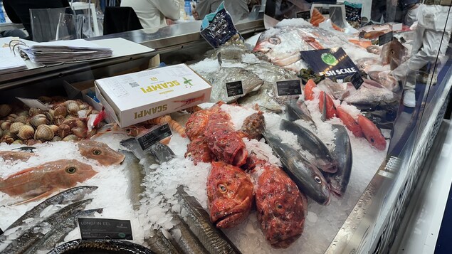 Des poissons dans un étalage à Barcelone.