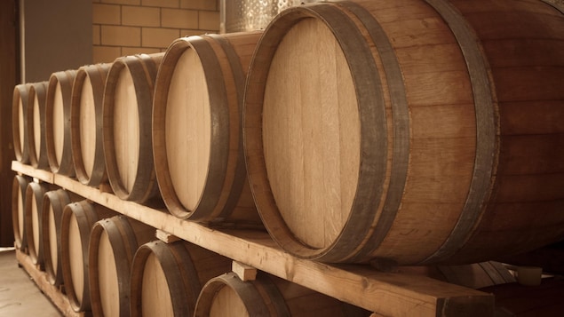 Ces bières sont habituellement vieillies en fûts de chêne. Les micro-organismes s'y trouvant contribuent également au goût du produit fini. Ces bières sont habituellement vieillies en fûts de chêne. Les micro-organismes s'y trouvant contribuent également au goût du produit fini.