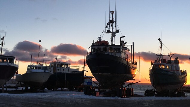 Des bruits étranges dans la Baie-des-Chaleurs | Radio-Canada