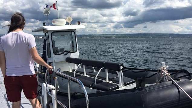 Un bateau pneumatique transporte les visiteurs de Rimouski à l'île Saint-Barnabé. Un bateau pneumatique transporte les visiteurs de Rimouski à l'île Saint-Barnabé.