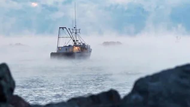 Les pêches pourront-elles s’adapter au réchauffement des eaux?