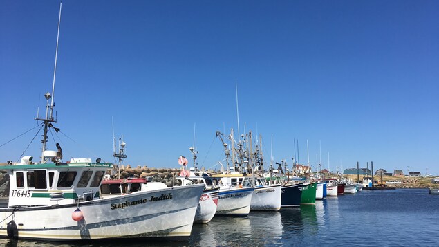 Des bateaux de pêche à L'Étang-du-Nord aux îles de la Madeleine. Des bateaux de pêche à L'Étang-du-Nord aux îles de la Madeleine.