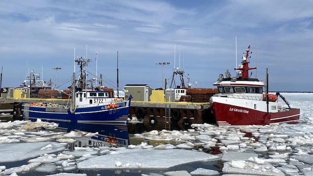 Des bateaux sont à quai à travers les glaces.