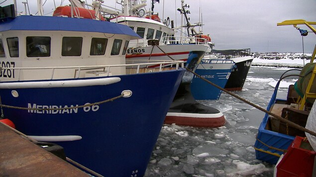Bateaux de pêche aux crevettes à Rivière-au-Renard Bateaux de pêche aux crevettes à Rivière-au-Renard