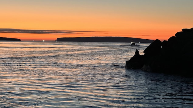 Du homard dans les poissonneries de la Gaspésie dès dimanche