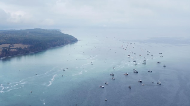 L’absence de réglementation pour le démantèlement de navires dénoncée sur la côte ouest