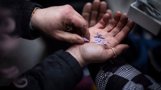 Fentanyl is pictured during the first day of decriminalization of drugs in British Columbia on Jan. 31, 2023. The B.C. government is now significantly rolling back the pilot following months of public pressure and concerns over public safety.