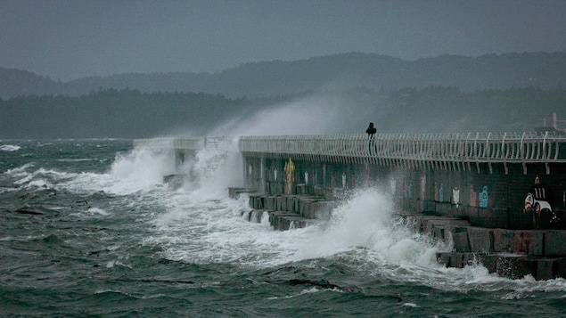 Une « bombe météorologique » frappe la côte sud de la C.-B. et l’île de Vancouver