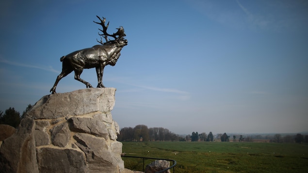 Immense statue d'un caribou