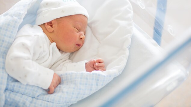 Le gouvernement de l’Île-du-Prince-Édouard va ouvrir le registre des adoptions.