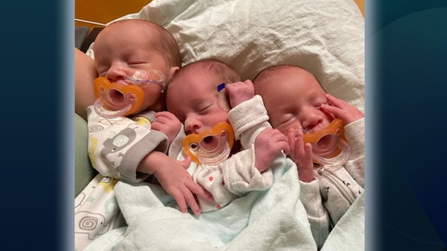 Trois bébés dorment avec des suces dans la bouche.