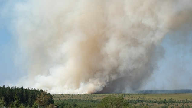 La Belgique mobilisée face à un incendie historique