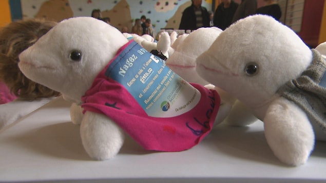 Des bélugas en peluche portent des capes de différentes couleurs. Des bélugas en peluche portent des capes de différentes couleurs.