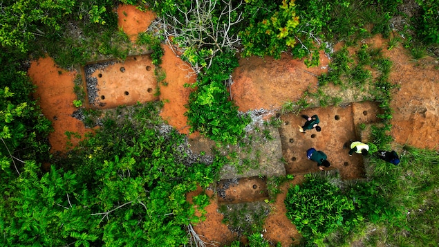 Des fouilles en Amazonie offrent des indices sur ses habitants avant la colonisation