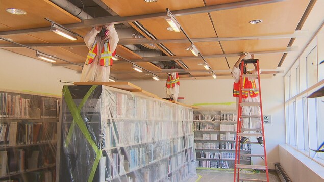 Trois personnes sur des escabeaux par-dessus des rangées de livres recouverts.