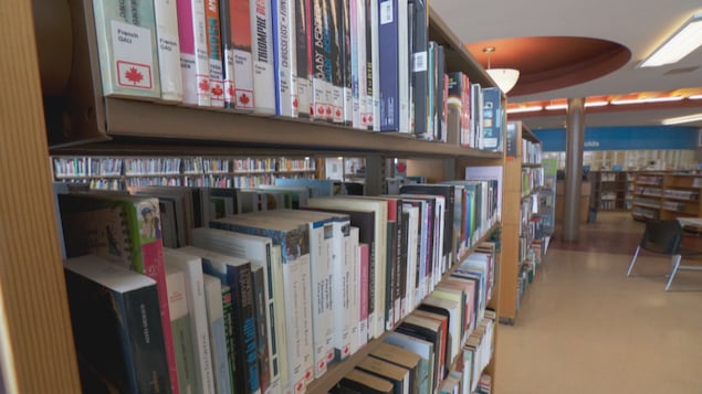Livres francophones alignés sur les étagères d'une bibliothèque au décor moderne et chaleureux