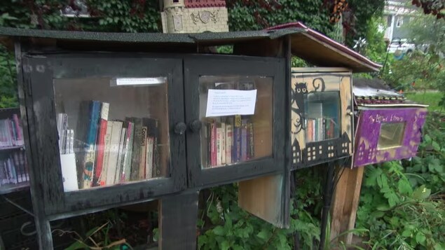 La Ville d’Ottawa prête à réglementer les bibliothèques de rue