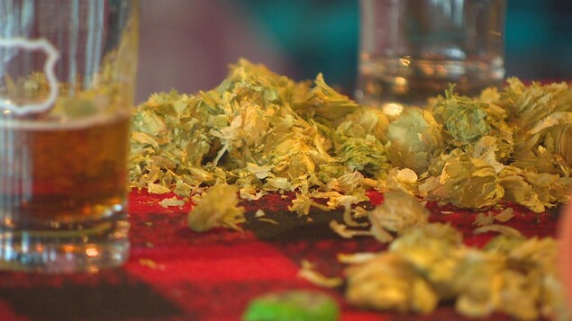 Des fleurs de houblons sur une table Des fleurs de houblons sur une table