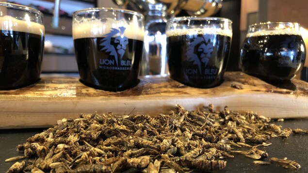 Des grillons sur une table devant quelques verres de bières.