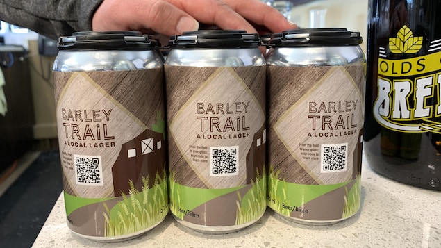 Une canette de bière Barley Trail dans la Olds College Brewey en Alberta.