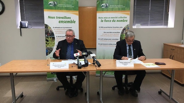 Le Syndicat des producteurs forestiers du Bas-Saint-Laurent a dévoilé jeudi son bilan pour l'année 2016. Le Syndicat des producteurs forestiers du Bas-Saint-Laurent a dévoilé jeudi son bilan pour l'année 2016.