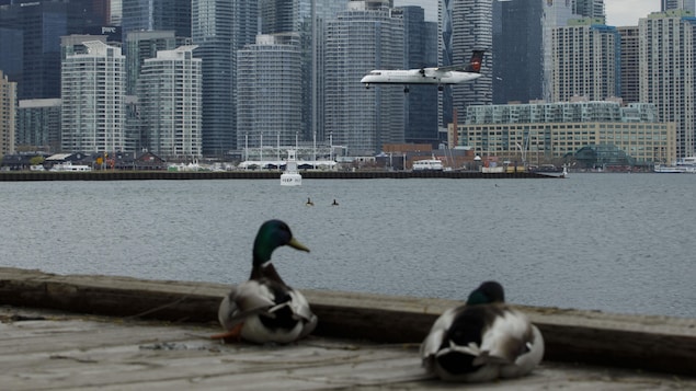  Aéroport Billy Bishop : la décision d’Ottawa accueillie avec soulagement à Toronto 