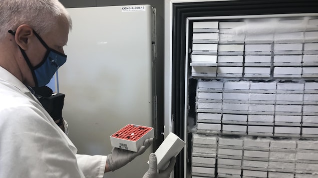 Un microbiologiste montre une boîte contenant des dizaines d'échantillons.