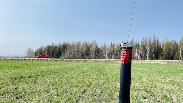 Deux projets de biométhanisation au Saguenay–Lac-Saint-Jean