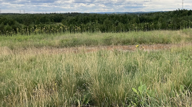 Saguenay veut maintenant trouver un autre terrain pour le projet de bioparc
