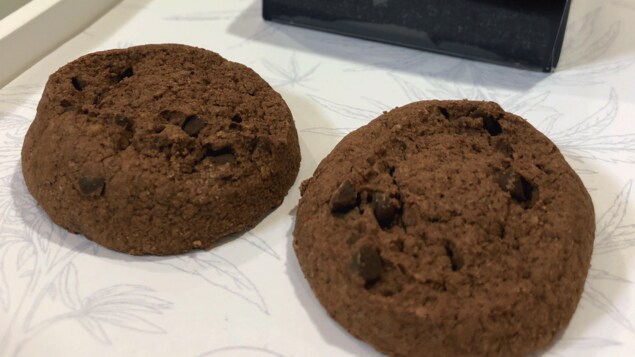 Deux biscuits au chocolat.