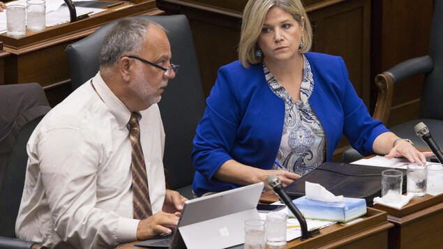Le député néo-démocrate Gilles Bisson et la leader néo-démocrate Andrea Horwath Le député néo-démocrate Gilles Bisson et la leader néo-démocrate Andrea Horwath
