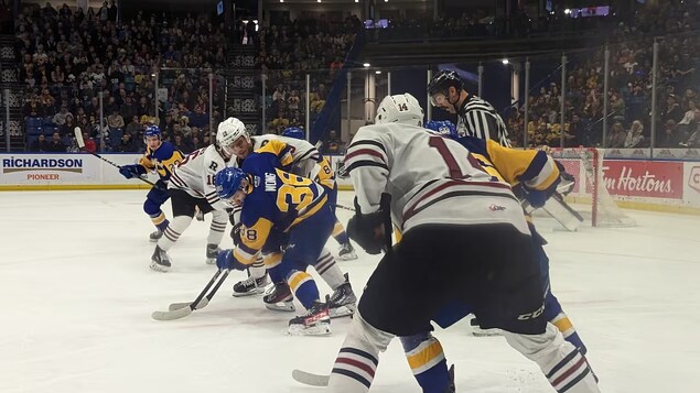Retour en force des Blades de Saskatoon après leur victoire contre les Rebels de Red Deer