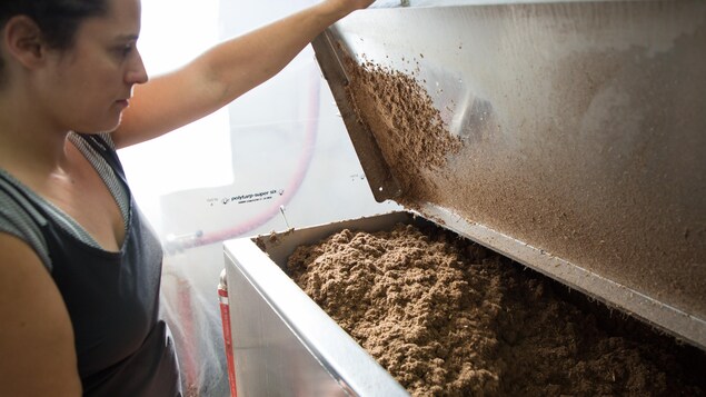 Dominique Lynch-Gauthier observe une machine qui pasteurise le mélange dans lequel poussent les pleurotes. Dominique Lynch-Gauthier observe une machine qui pasteurise le mélange dans lequel poussent les pleurotes.