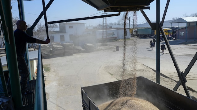 L’exportation des céréales ukrainiennes au menu d'une rencontre entre Poutine et Erdogan