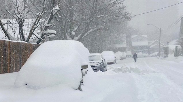 Snow Squalls, Blizzards Bababa Sa Ilang Parte Ng Ontario, Babala Ng ...