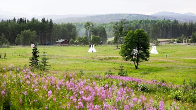 La C.-B. et la Nation Blueberry River s’accordent sur la protection des ressources