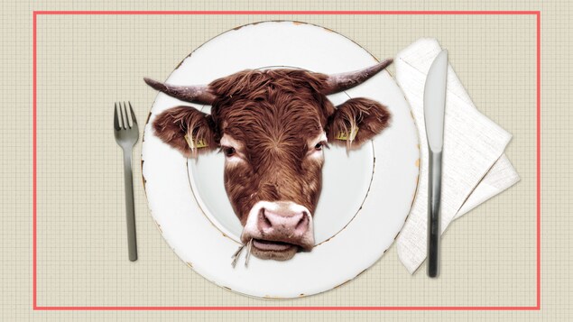 La reproduction de l'image d'un boeuf dans une assiette.