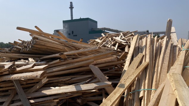 Du bois d’oeuvre utilisé comme biomasse à Senneterre