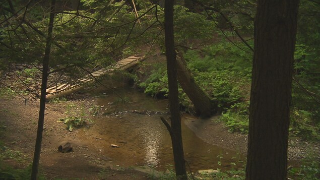 Le ruisseau Dodds dans le bois des Deux-Ruisseaux, à Sherbrooke