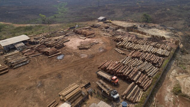 Le Brésil détecte une déforestation record de l’Amazonie en janvier et février
