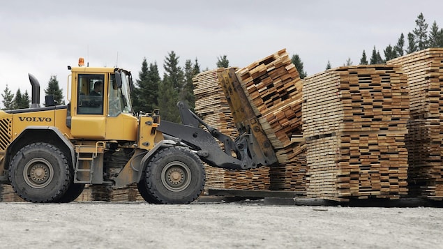 Un homme transporte des palettes de bois le vendredi 14 octobre 2005 à Armstrong, au Québec.