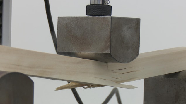 Une machine teste la solidité du bois