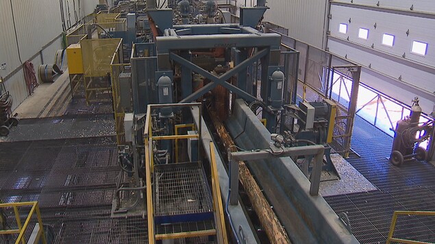 Une machine coupe des troncs d'arbre.