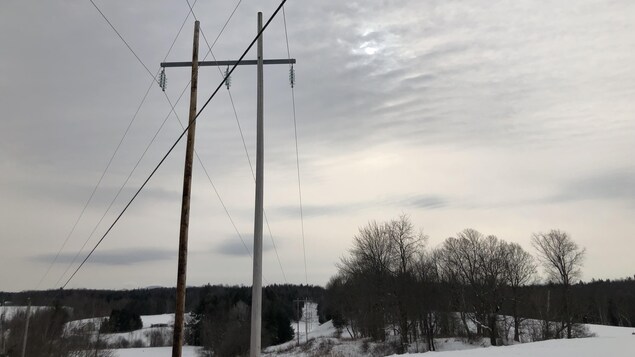 Des poteaux électriques dans un champ hivernal. 