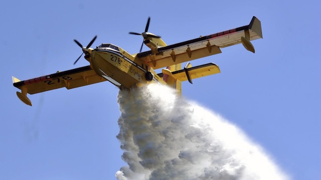 Un avion jetant de l'eau au-dessus d'une forêt.